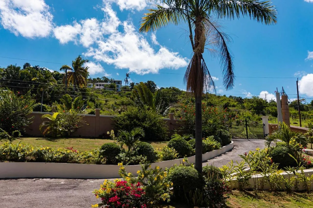 Eden'S Inn - Stylish Penthouse - Breathtaking View Whitehouse 0*,  Jamaica